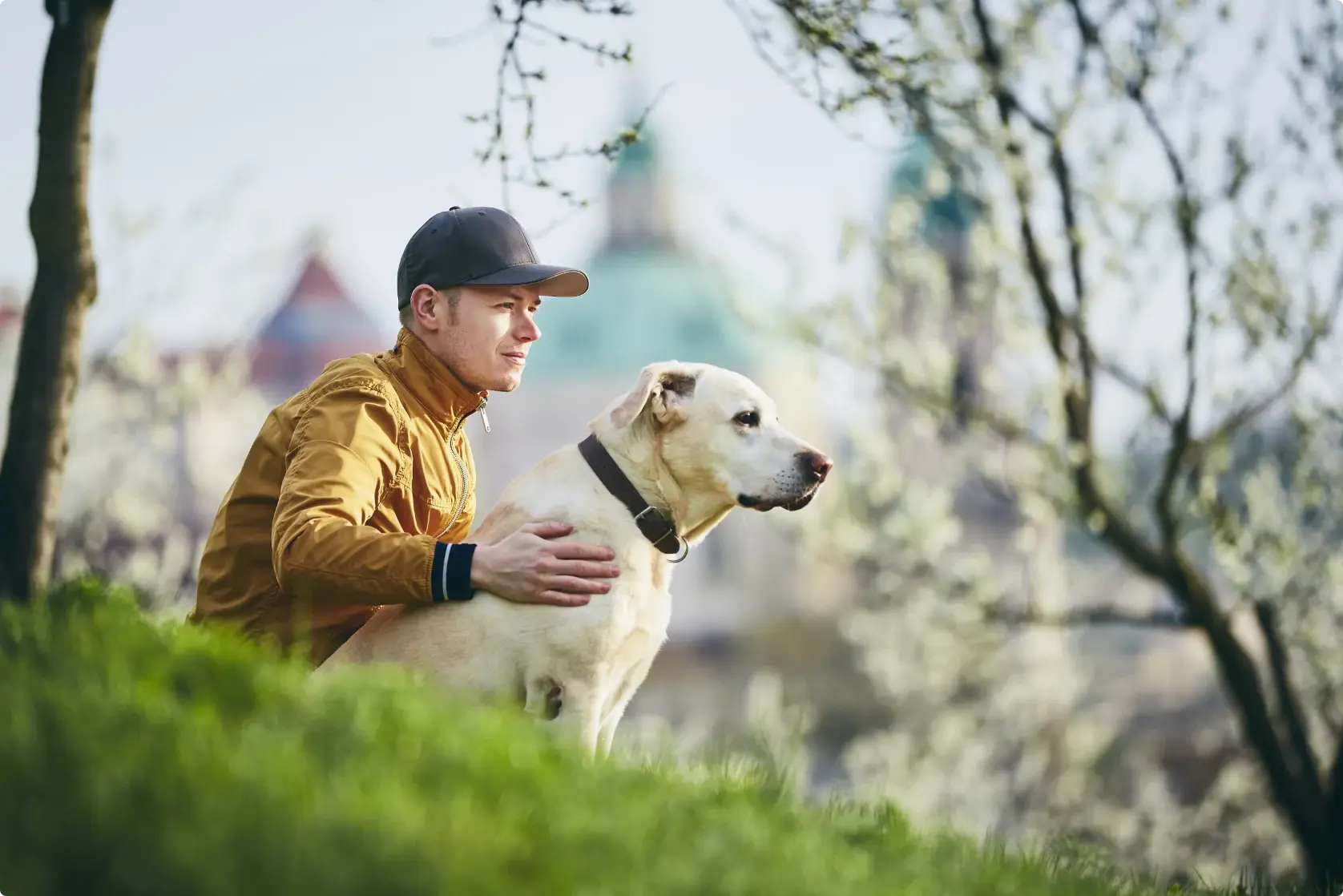 Wyprowadzanie psów -Dowiedz się ile kosztuje wyprowadzanie psów
