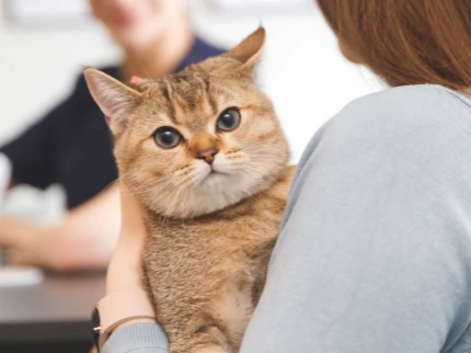 Stały kontakt z opiekunem