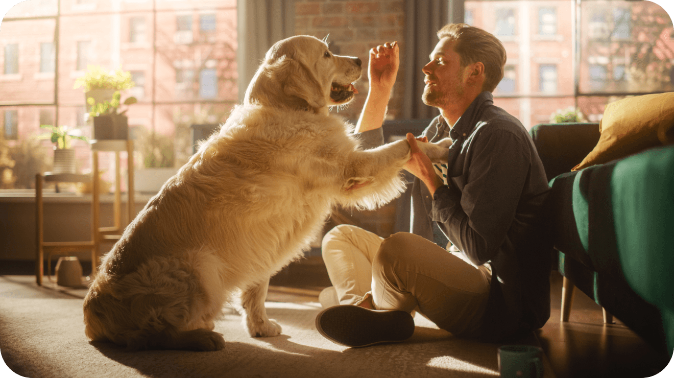 Hotel dla psów Białystok - Mężczyzna tresujący psa w mieszkaniu