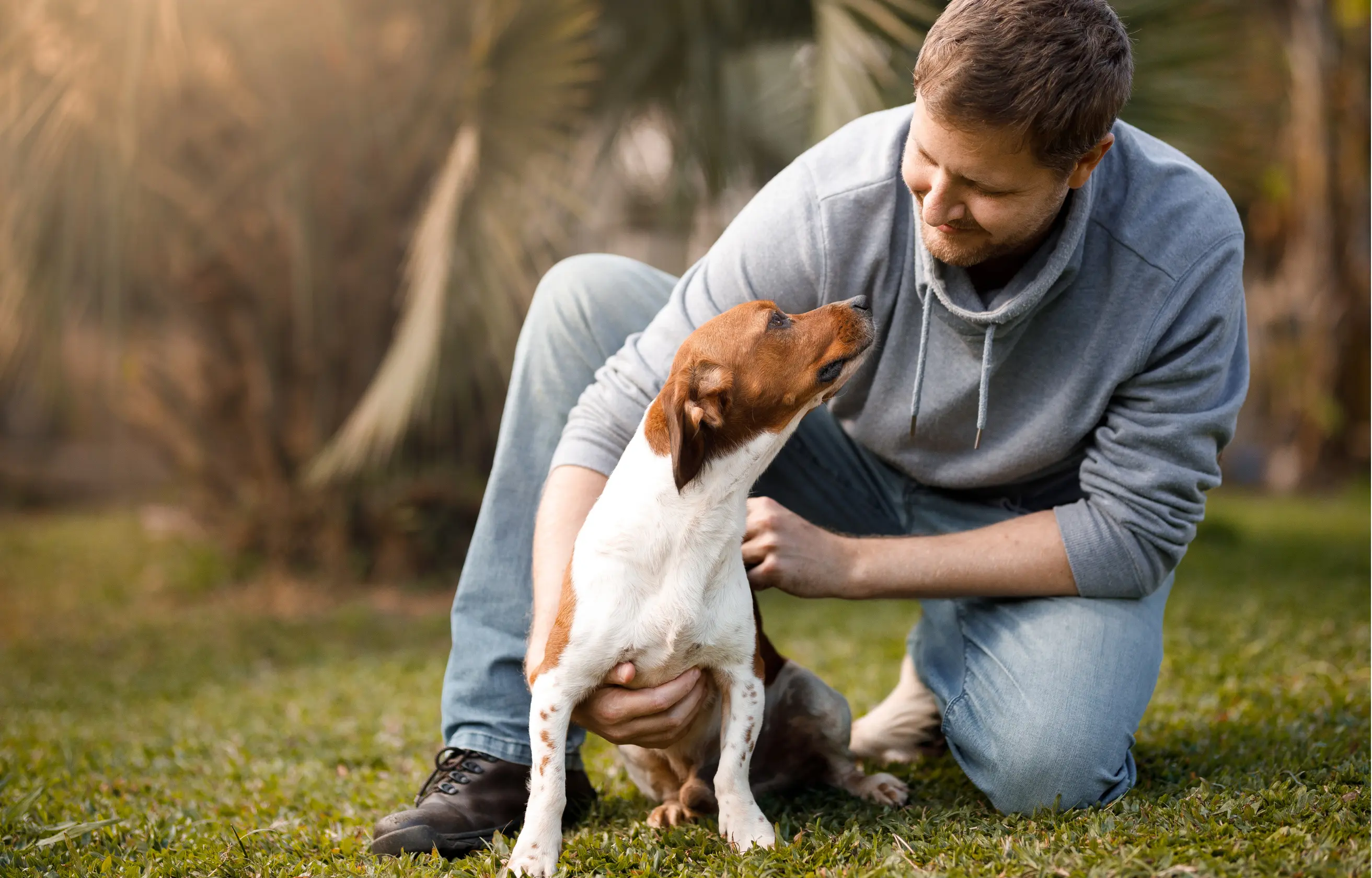 Przygotowanie psa do pobytu w domowym hotelu w Gdańsku