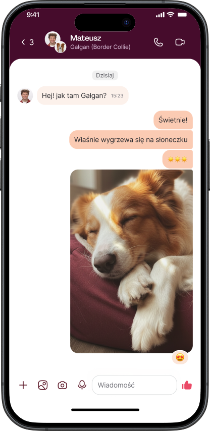 Aplikacja Petsy — czat z opiekunem